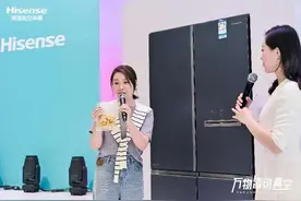真空休眠科技+嵌入式 海信真空璀璨503新品冰箱首发图片