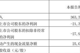 凤凰光学：2023年一季度亏损2130.84万元图片