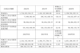 龙溪股份：2022年亏损599.00万元图片