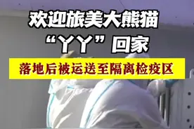 欢迎回家！旅美大熊猫“丫丫”落地后近况视频来了图片