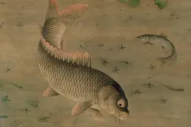 “告诉老默，我想吃鱼了”成热梗！曹操也爱吃鱼，都有哪些吃法？图片