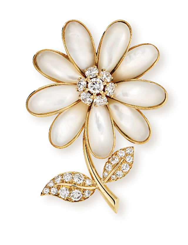 ű֮ޣMoncler2023ļϵƬ | 