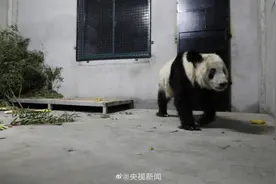 丫丫到家后近照 欢迎宝宝回家！图片