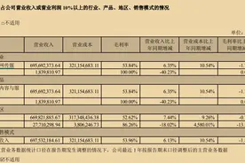 V观财报｜视觉中国2022年净利降35% 89起诉讼涉案金额近3800万图片
