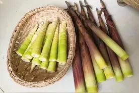 春笋是春季时令菜 好吃又养人图片