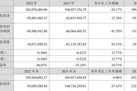 金运激光：2022年亏损5569.19万元图片