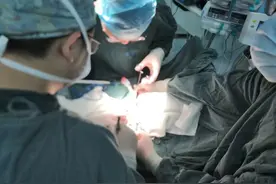 从甲状腺取出四颗“黄豆”，成功移植到手臂上，小伙“重生”后感激万分：“感谢命运没有抛弃我！”图片