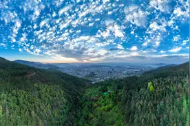 云南武定：品一杯春茶，不负人间四月天图片