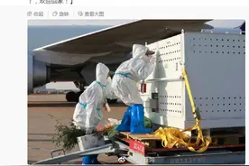 “丫丫”回国第一晚，过得怎么样？图片