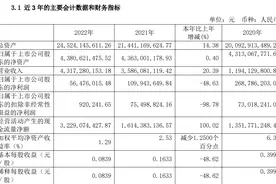 年报速读| 新黄浦2022年归母净利同比降近5成，时隔10年再次在上海拿地图片