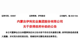 内蒙古伊利实业集团股份有限公司获得政府补助4.9亿元图片