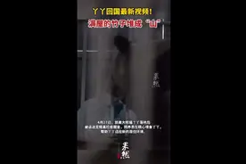 丫丫回国最新视频！满屋的竹子堆成“山”图片