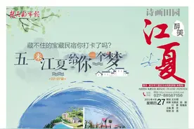 最全指南！武汉江夏这些宝藏民宿你打卡了吗？图片