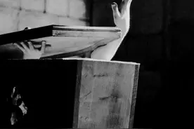 万人如海一身藏——侦探小说对现代城市的美学书写图片