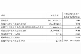 星宇股份：2023年一季度净利润2.04亿元 同比下降24.46%图片
