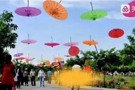 每一眼都惊艳！快来玫瑰小镇打卡~图片
