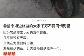 五一去海边的人，千万不要同情海星！图片