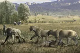 这一新物种揭示剑齿虎群居行为的起源与演化图片