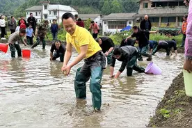 归田园 享自然 2023明月山·百里竹海第八届采笋节启幕图片