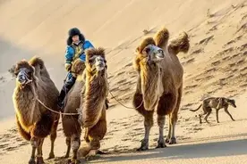 解锁假期最新玩法！乡村游走起图片