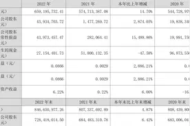 嘉应制药：2022年净利润4393.47万元 同比增长2874.05%图片