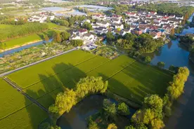 游嘉乡| 第二站：大裕村！葡萄公园已开园，来这里遛娃、喝茶、住民宿图片