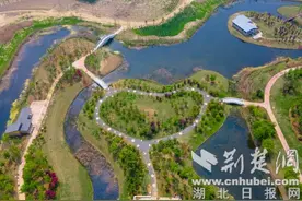 鱼梁洲中央生态公园开园 系襄阳最大的城市中央生态公园图片