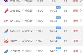 坐飞机证件没带怎么办？乘机出行提醒！图片