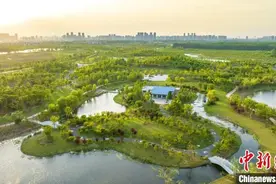 湖北襄阳：江中沙洲打造城市生态绿心图片