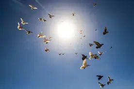 “宽容他人就是善待自己”有科学依据图片