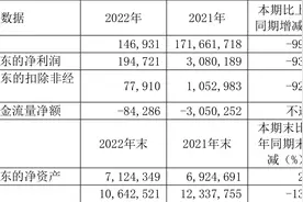 海航科技：2022年净利润1.95亿元 同比下降93.68%图片