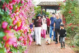 龙南新闻│向世界客家文化名城迈进图片