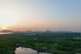 当地最大城市“绿心”！襄阳鱼梁洲中央生态公园“五一”开园图片
