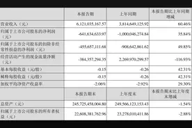 荣盛发展：2023年一季度亏损6.42亿元图片