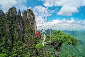 视频丨莽山五指峰：一座不用爬的山有什么好爬的？图片