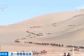 敦煌“堵骆驼”了！“红骆驼停，绿骆驼行”……图片