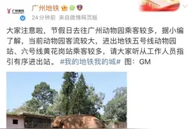 人人人人人人人！广州动物园挤爆了图片