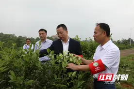 零陵：龙亮开展巡河、巡林并检查督导消防安全工作图片