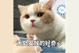 这种表格突遭疯传！可共享编辑，包含大量个人信息...图片