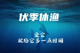 惠州海域即将进入为期三个半月伏季休渔期图片