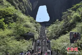 中国“翼装飞人”张树鹏穿越张家界天门洞图片