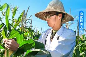 强国策划 | 一组海报致敬自贸港劳动者图片