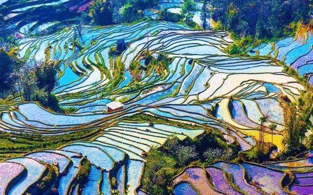 文章图片5
