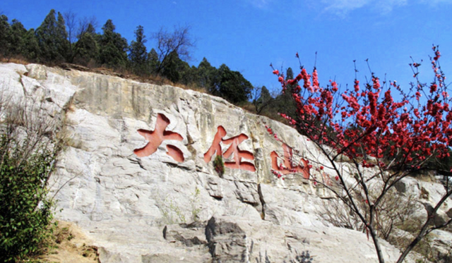 文章图片25