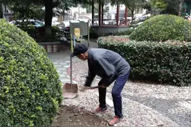 值得尊敬的“夕阳红”！宝山这位九旬老党员为小区绿化增添“春色”图片