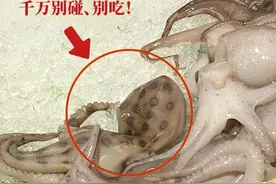 剧毒！又有人“中招”了，食客一定要远离图片