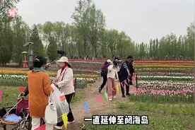 五一出游Vlog！记者带你畅游银川花博园图片