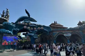 湘湖边有公园一清早百余人排队 海底露营项目一票难求图片