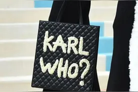 KARL，WHO？图片