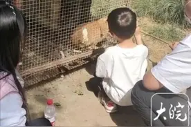 游客投喂热情高涨，六安动物园给动物减“正餐”图片